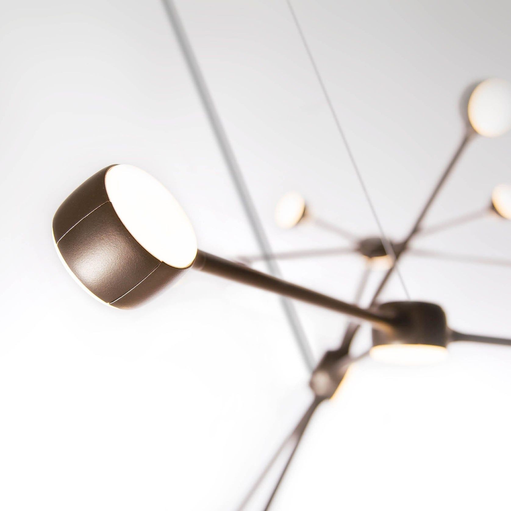 Ramus gallery detail image