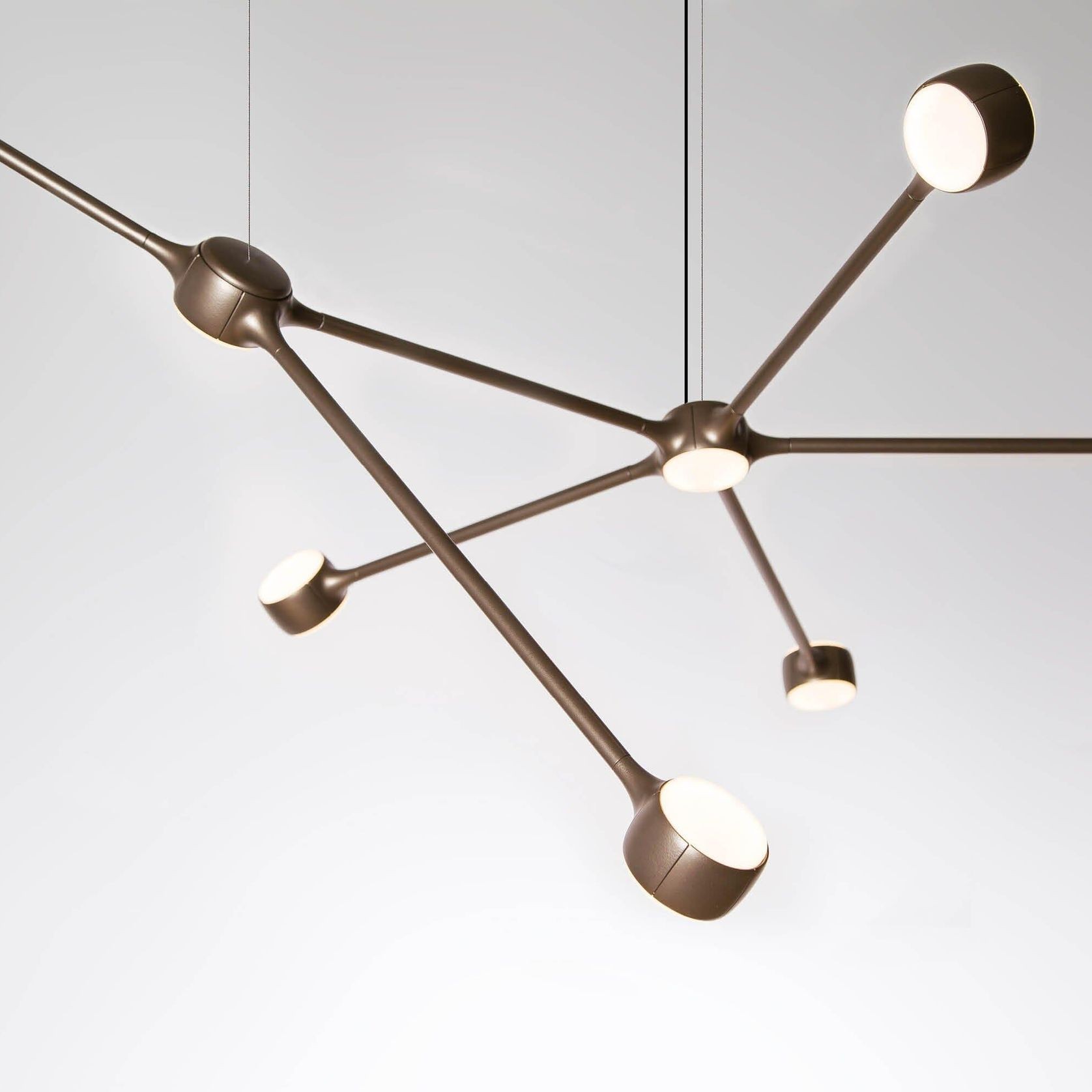 Ramus gallery detail image