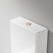 Coloured Toilet Flush Button | 57Ø mm gallery detail image