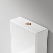 Coloured Toilet Flush Button | 57Ø mm gallery detail image