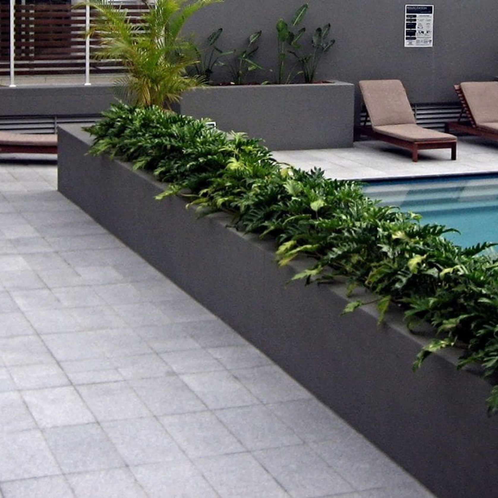 Silver Grey Granite Pool Coping gallery detail image