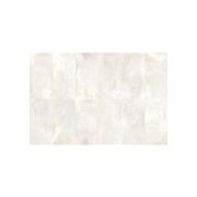 Metallon Platinum gallery detail image