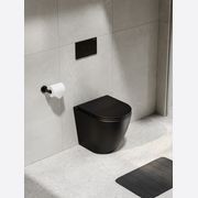 Flow Typhoon Inwall Toilet Suite |Brushed Gunmetal Btn gallery detail image