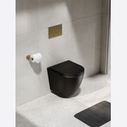 Flow Typhoon Wall Hung Toilet Suite | Brushed Brass Btn gallery detail image