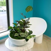 Garden Bowls | Hire Plants gallery detail image