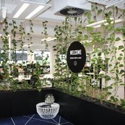 Plant Installations On Wires | Hire Plants gallery detail image