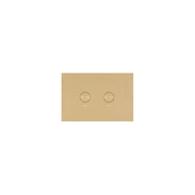 Oli Flush Panel Brushed Brass PVD gallery detail image