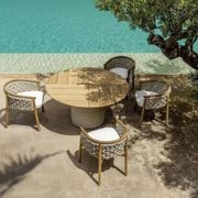 ETHIMO PATIO Dining Armchair gallery detail image