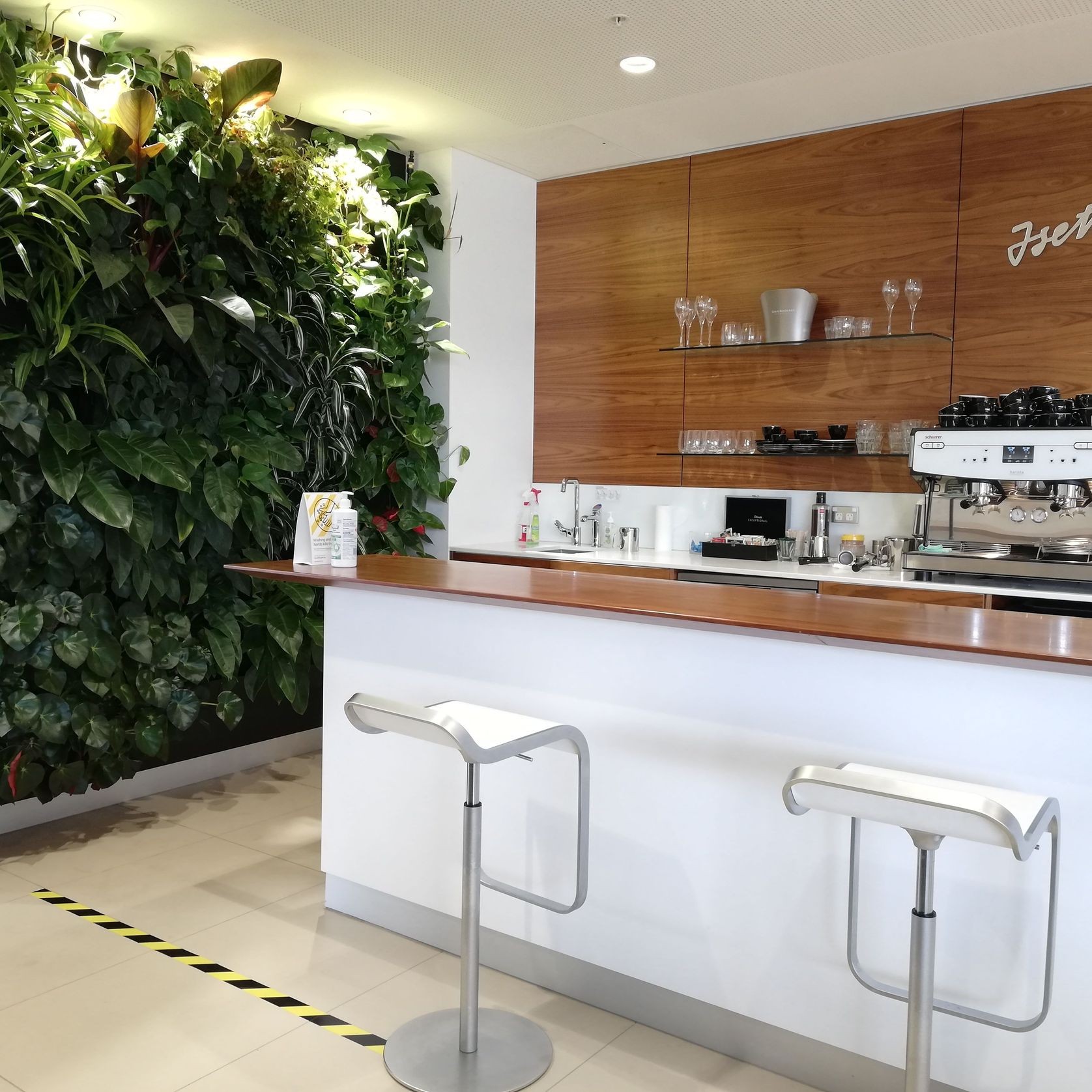 Vertical Green Walls | Hire Plants gallery detail image