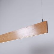 Tassie Flat Pendant gallery detail image