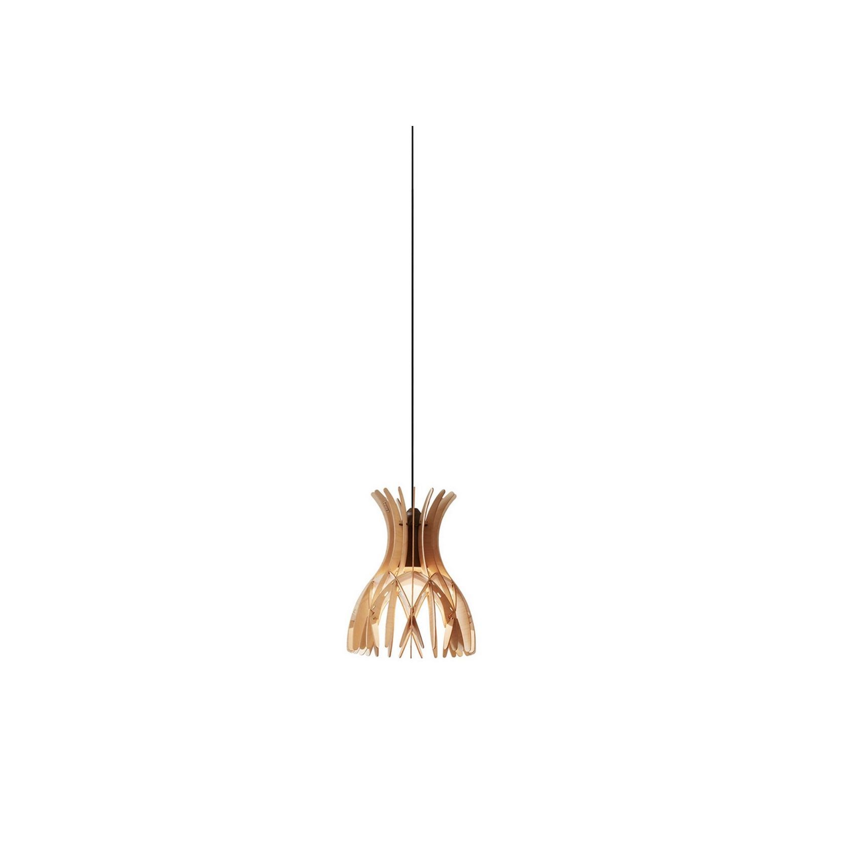 Domita S20 Pendant gallery detail image