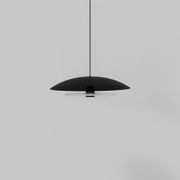 Coral Dome Pendant Light gallery detail image