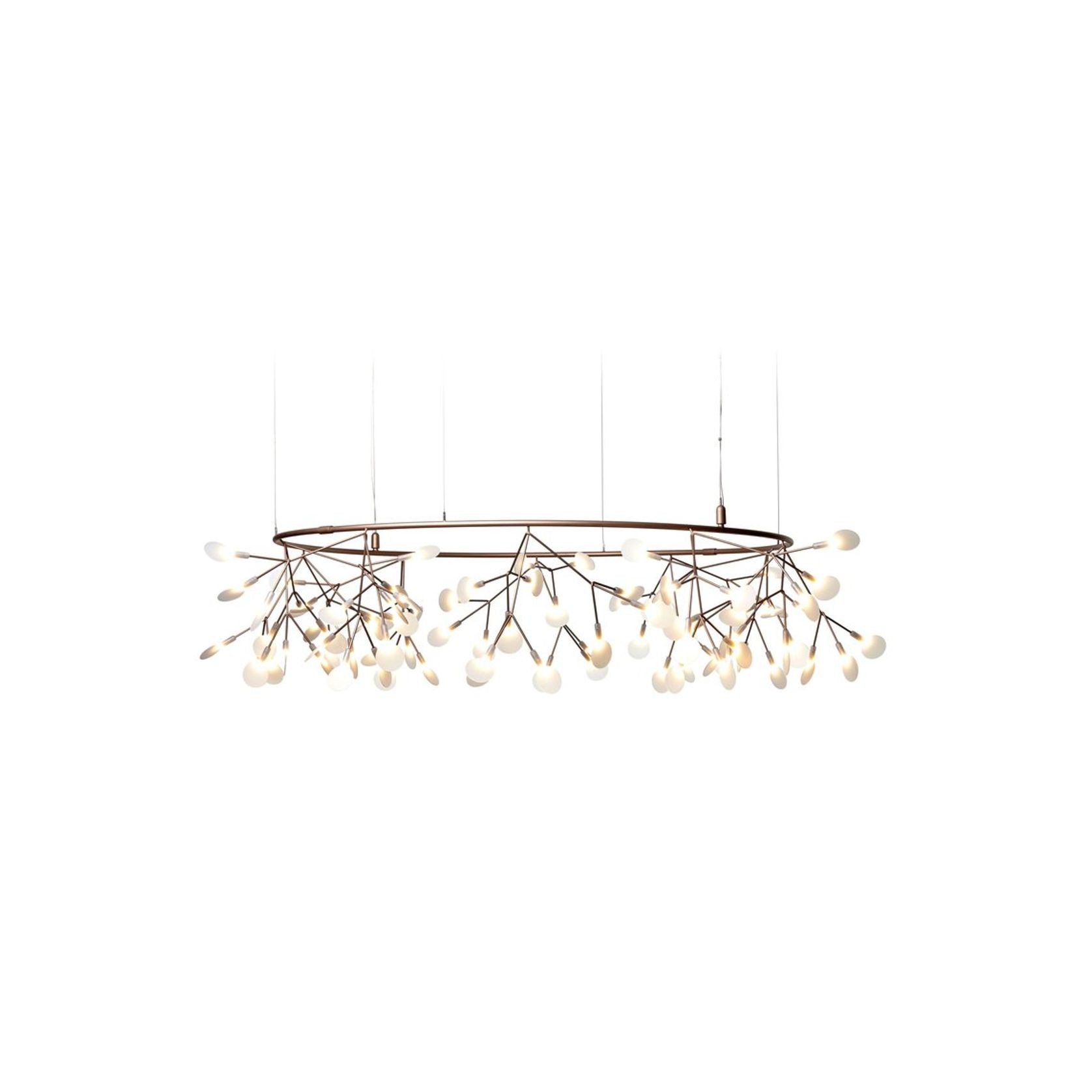 Heracleum Small Big O gallery detail image