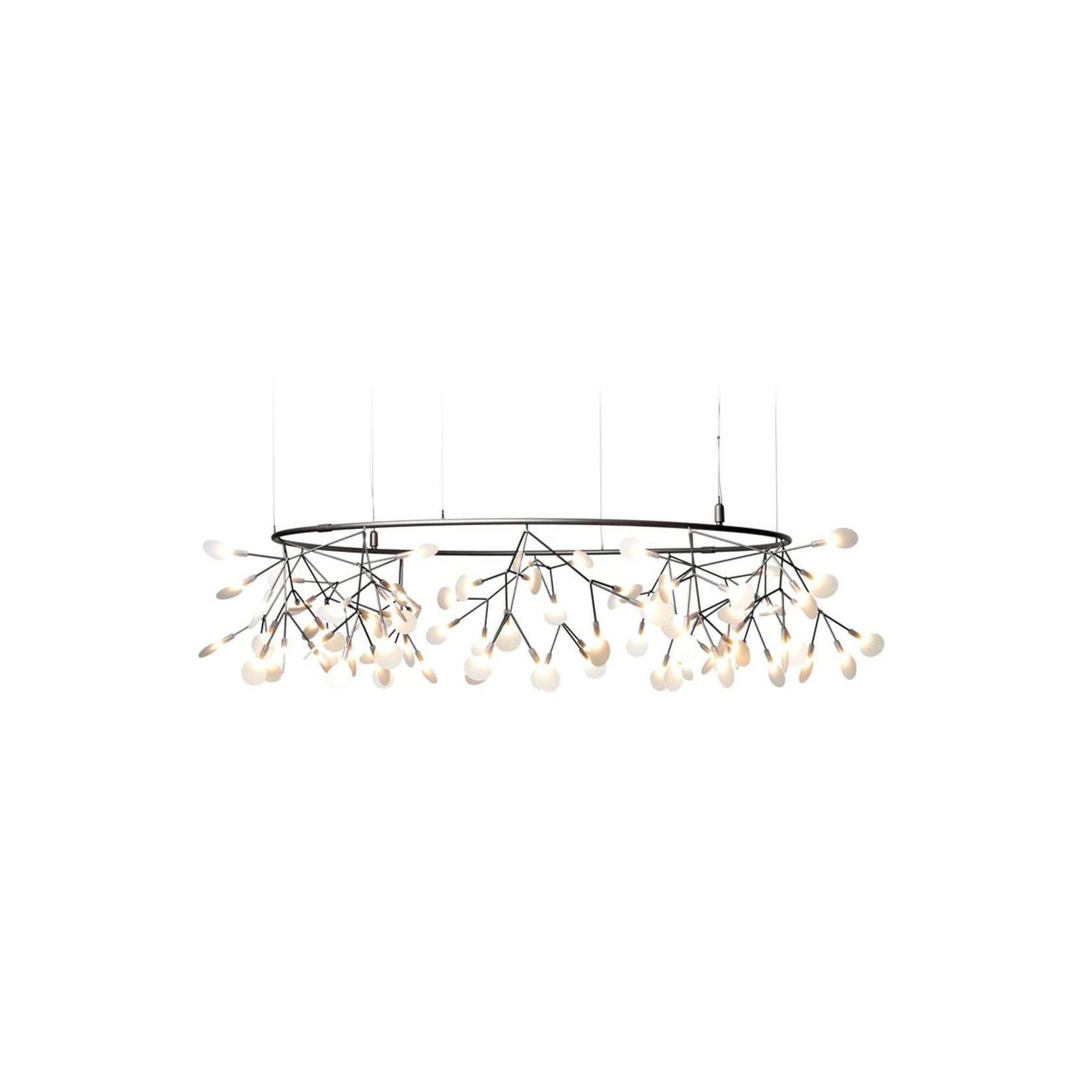 Heracleum Small Big O gallery detail image