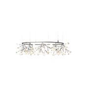 Heracleum Small Big O gallery detail image