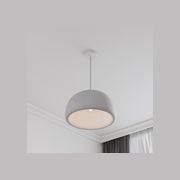 Passerine Wabi-Sabi Polymer Resin Pendant Light gallery detail image
