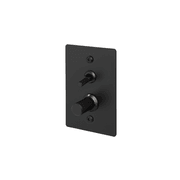 Buster + Punch 2G Toggle+Dimmer Vertical Linear gallery detail image