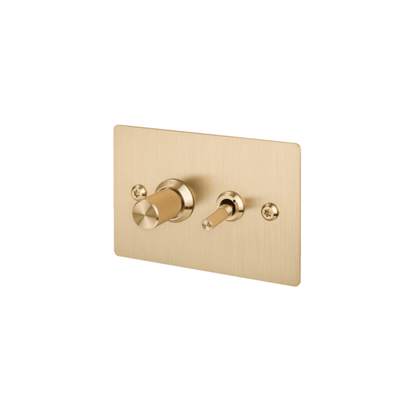 Buster + Punch 2G Toggle+Dimmer Horizontal Linear gallery detail image