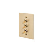 Buster + Punch 3G Toggle Vertical 2-Way Linear gallery detail image