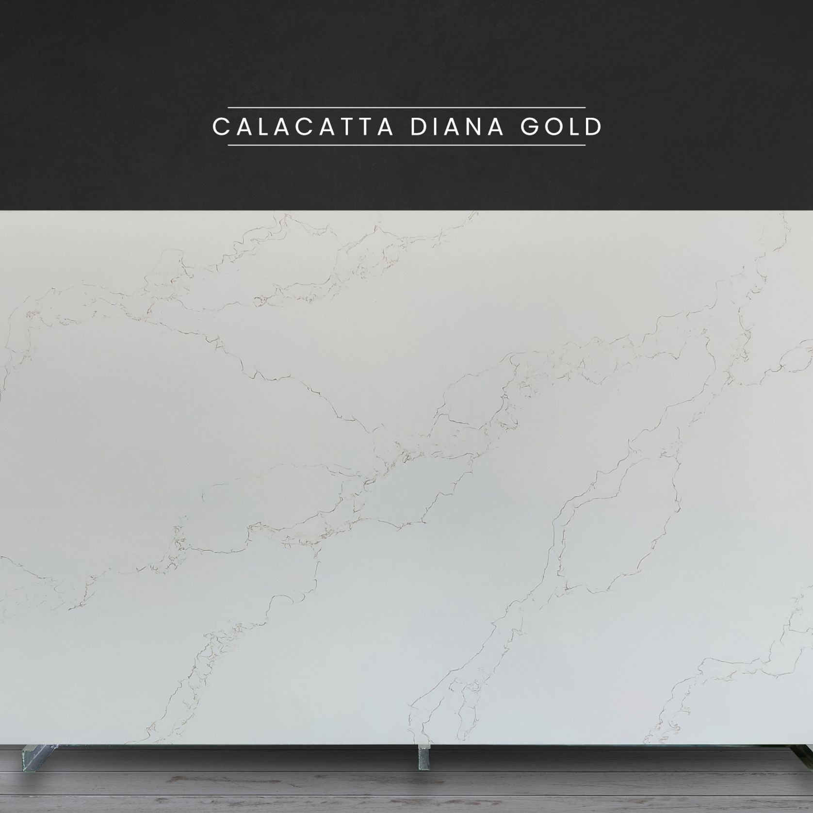 Calacatta Diana Gold | Quartz gallery detail image