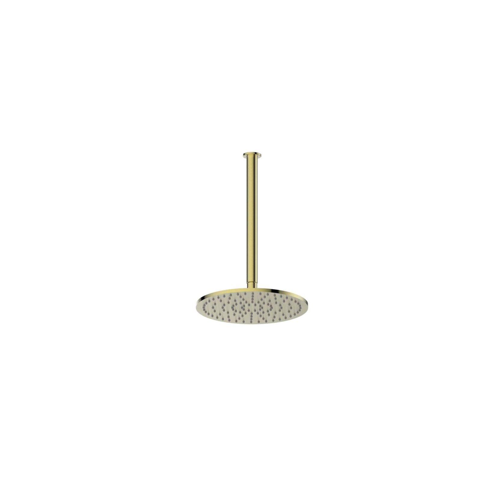 Textura | Gisele Ceiling Shower Head gallery detail image