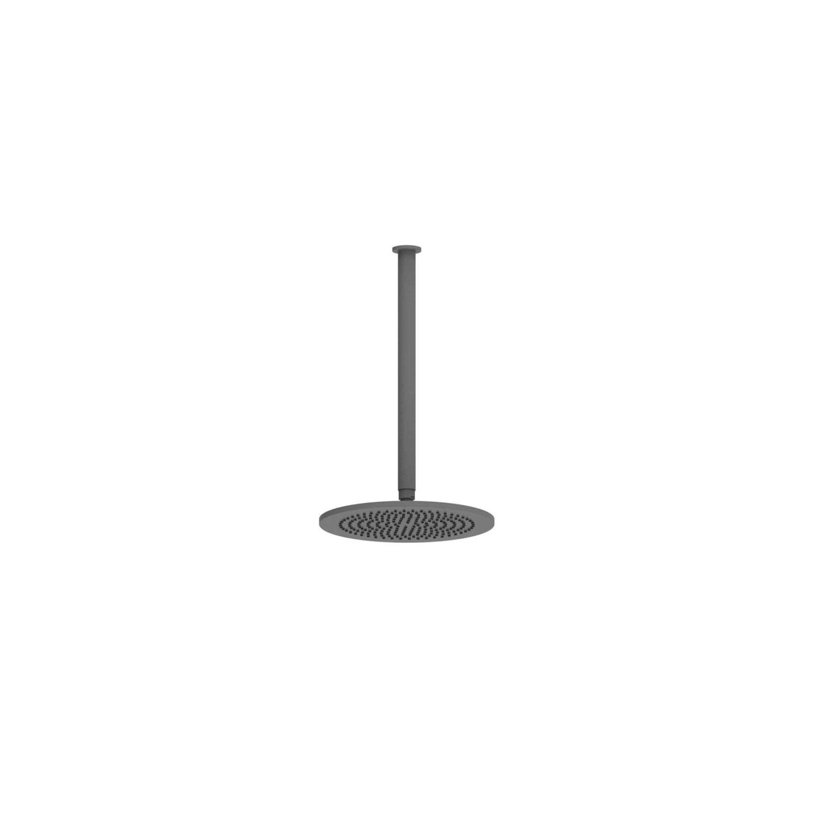 Textura | Gisele Ceiling Shower Head gallery detail image