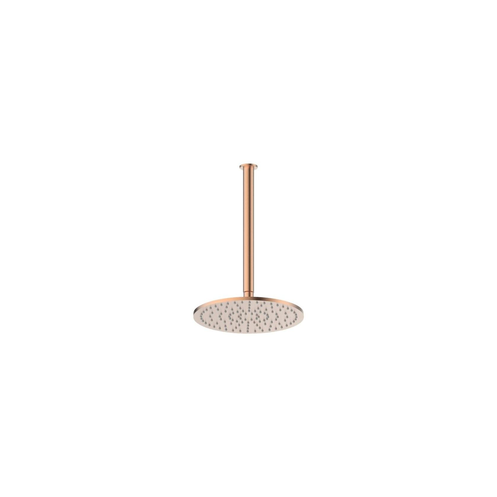 Textura | Gisele Ceiling Shower Head gallery detail image