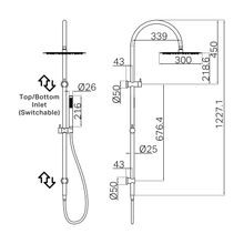 Zen SS316L Twin Shower & Outdoor Shower Hose | Brushed Bronze gallery detail image