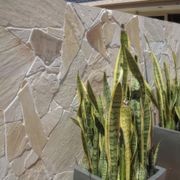 Texture Stone | Random Flagstone gallery detail image
