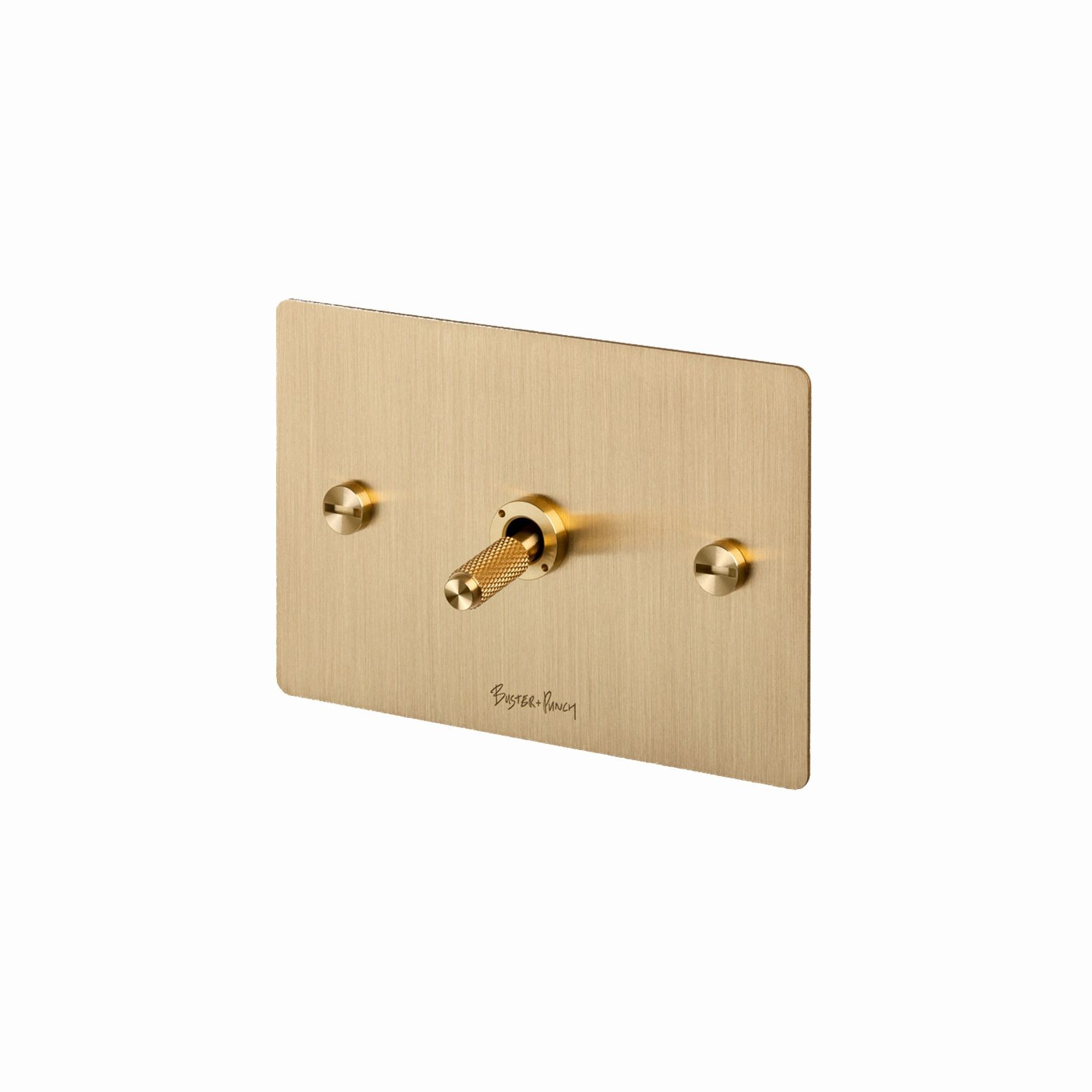 Buster and Punch 1G Toggle Switch Solid Metal Flatplate gallery detail image
