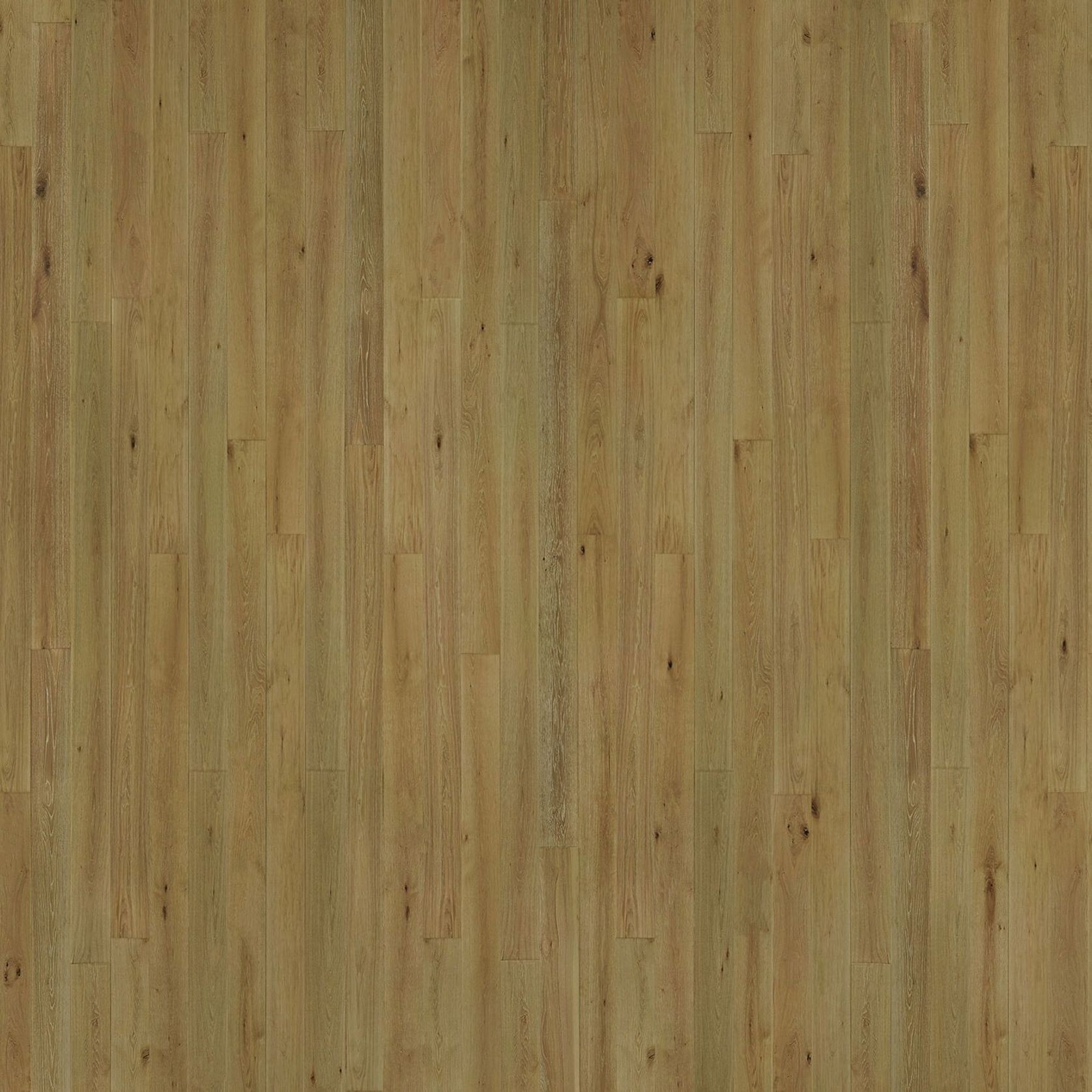 Sepia | Solid European Oak Floor Boards gallery detail image