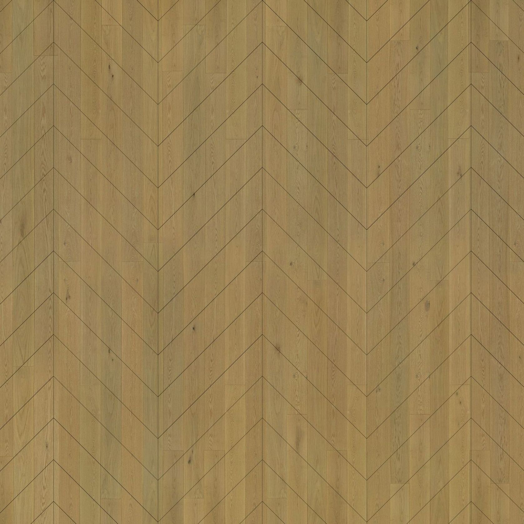 Graupa | Solid European Oak Floor Boards gallery detail image