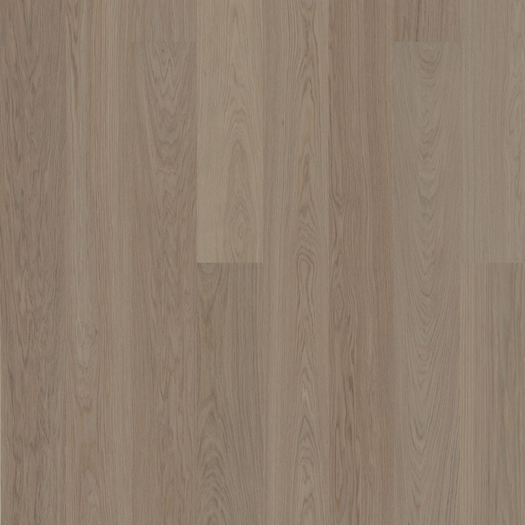 Bjelin XL 206 Earth Grey | Nature Grade gallery detail image