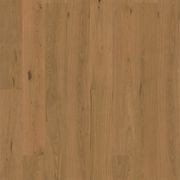 Bjelin XL 206 Honey | Nature Grade gallery detail image