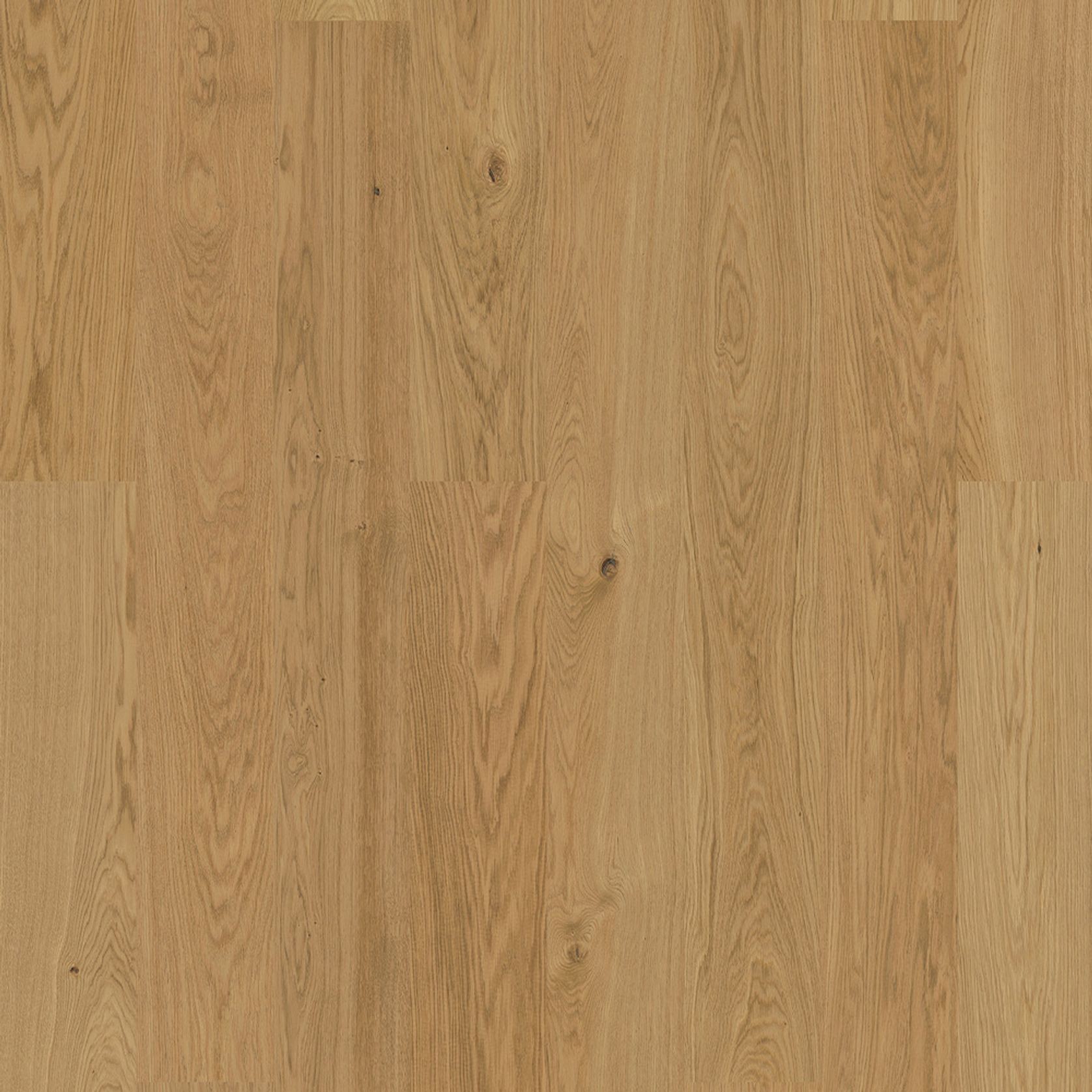 Bjelin S 151 Natural | Blend gallery detail image