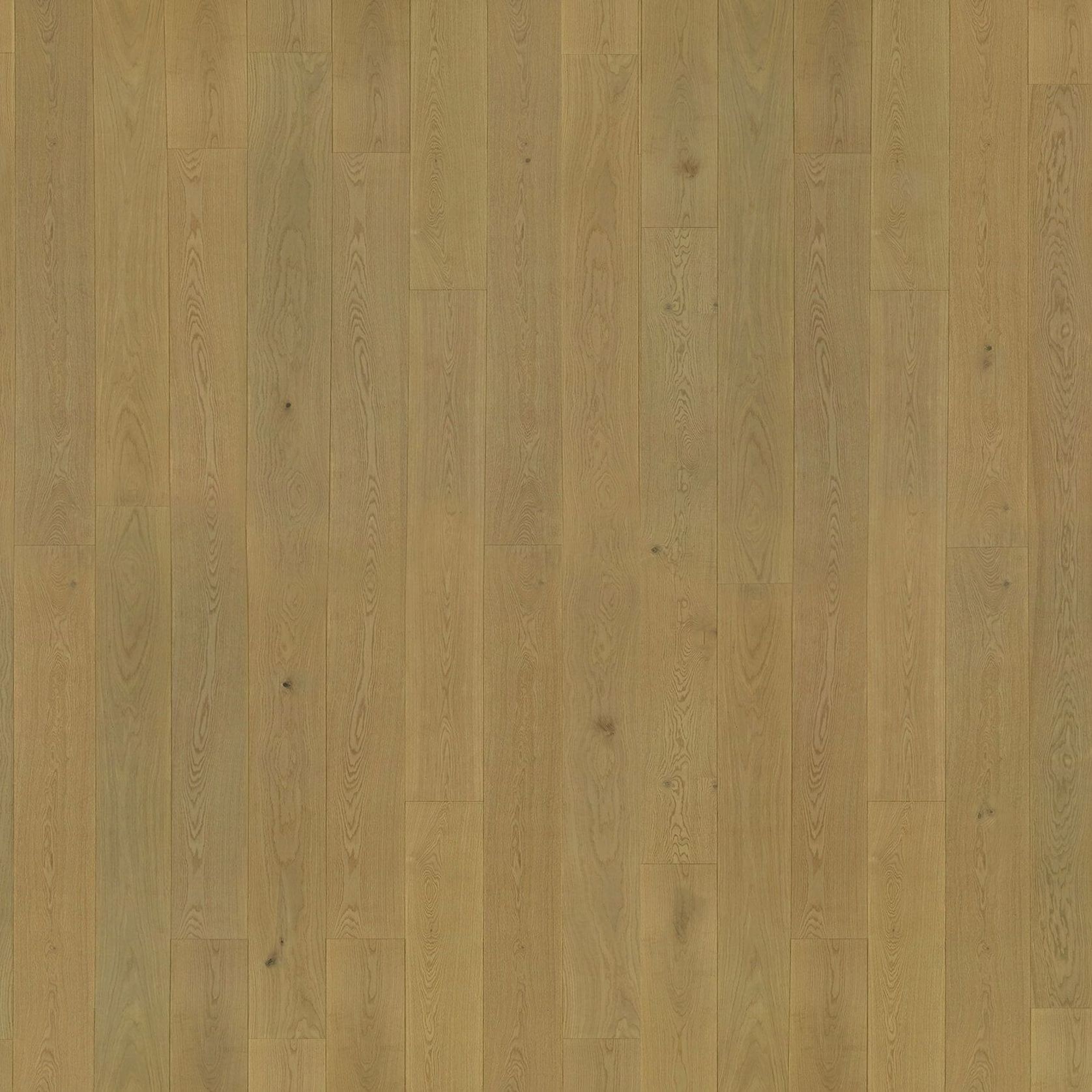 Graupa | Solid European Oak Floor Boards gallery detail image