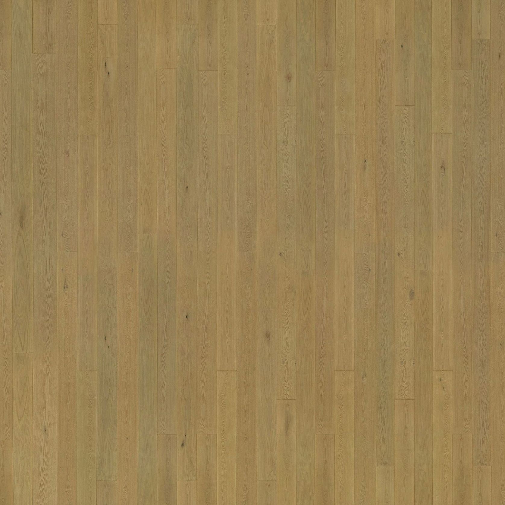 Graupa | Solid European Oak Floor Boards gallery detail image