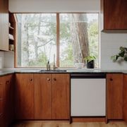 Keruing Brownwood BS1088 | Marine - Joinery Plywood gallery detail image
