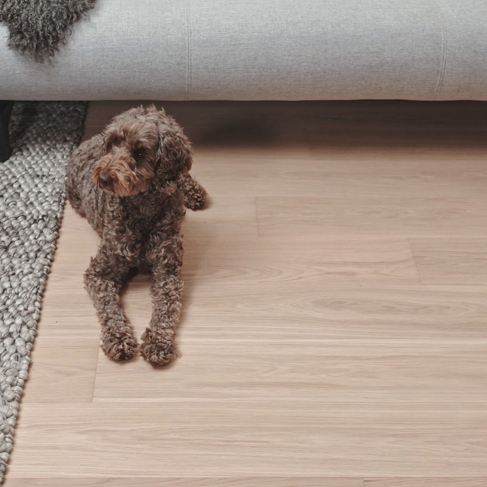 Moda Flooring Collection gallery detail image