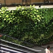 Gro-Wall® Slim PRO Vertical Gardens gallery detail image