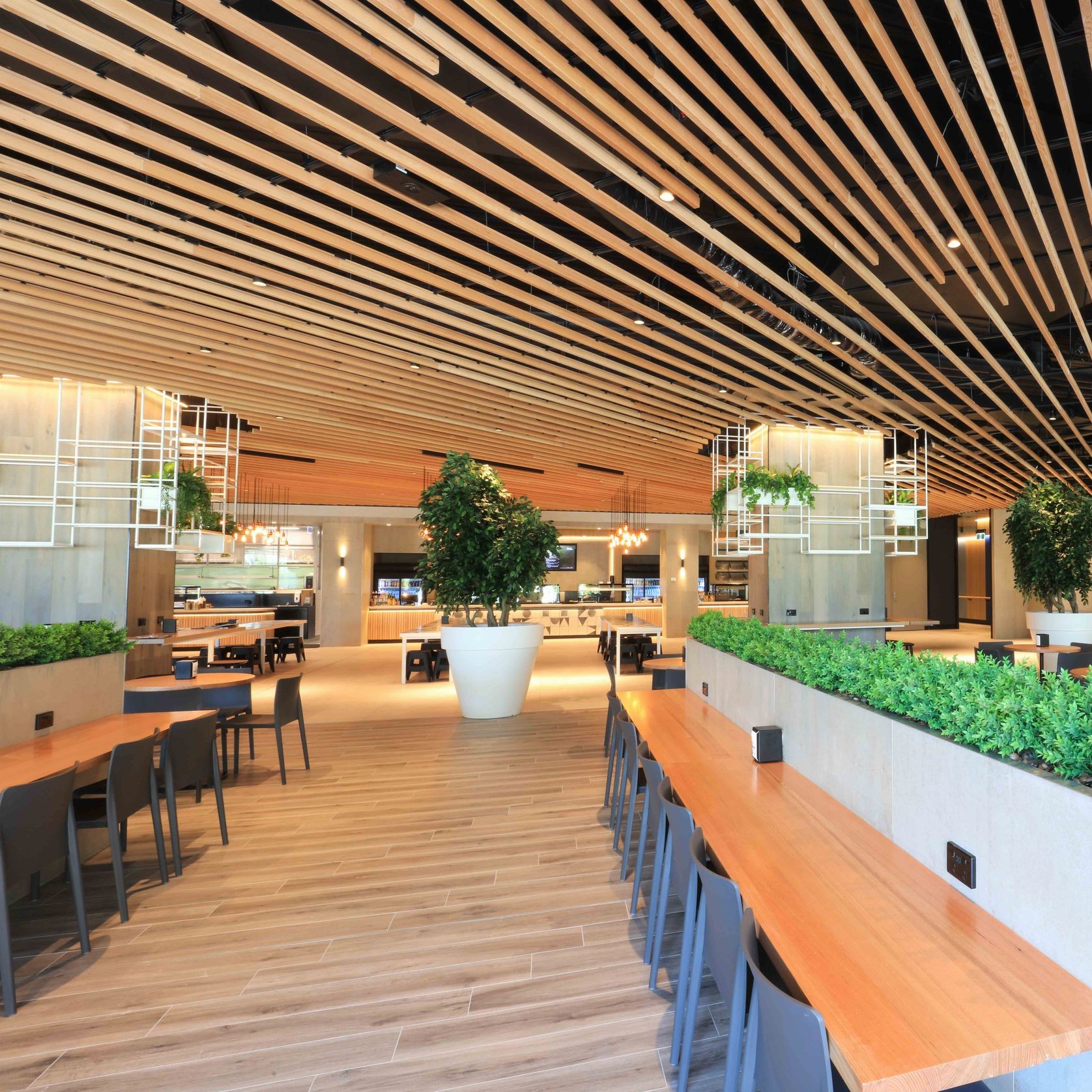 Timberline Plus | Solu Plus gallery detail image