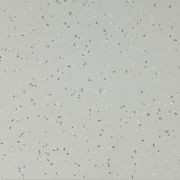 Altro Walkway™ VM20 - R10 Safety Flooring gallery detail image