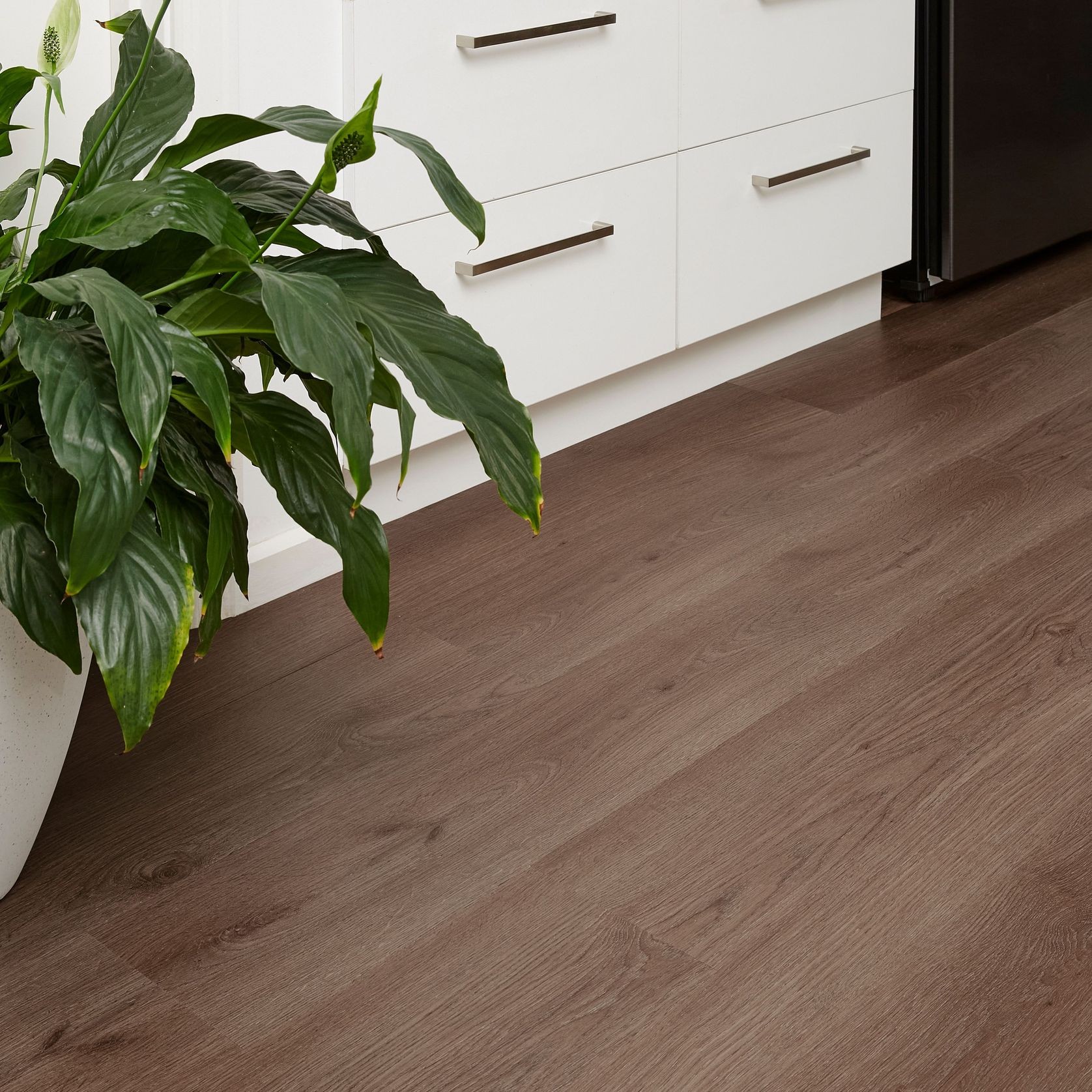 Kingswood Select Oak | Euro Oak gallery detail image
