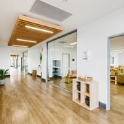 Timberline Plus | Too Right Plus gallery detail image