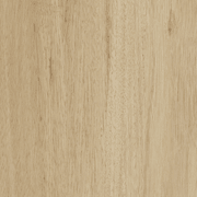 Rewind gallery detail image