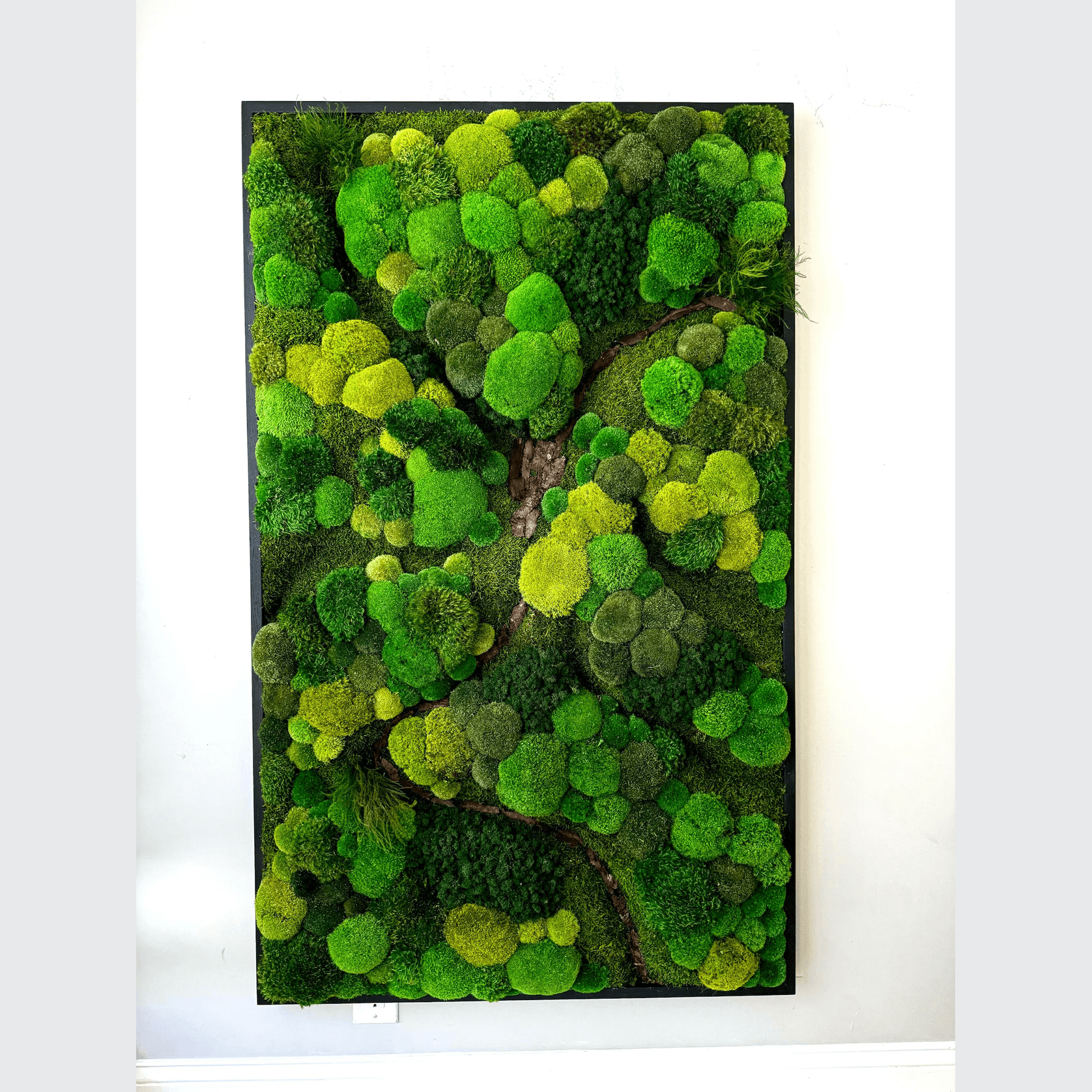 Moss Wall Art - Corteza gallery detail image