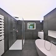 Barrisol Translucents® gallery detail image