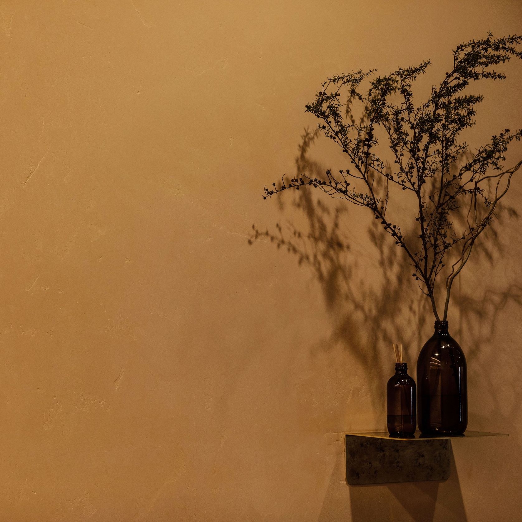 Suave Polished Plaster gallery detail image