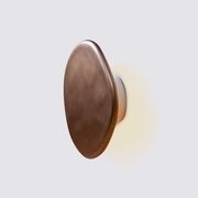 Amoeba Wall Light gallery detail image
