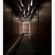 Comet Wall Light gallery detail image